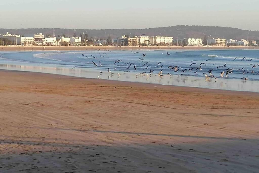 Darsal-Bwindi, Pour Tomber Amoureux D'Essaouira ! Villa Exteriör bild