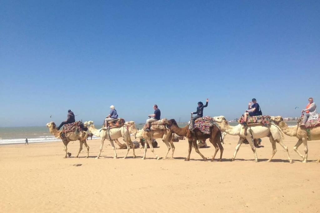 Darsal-Bwindi, Pour Tomber Amoureux D'Essaouira ! Villa Exteriör bild
